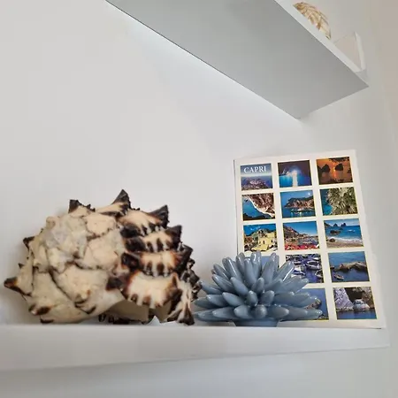 Bed & Breakfast Casa Astra 4*