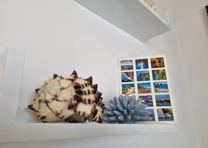 Panzió Casa Astra 4*