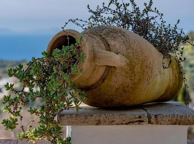 Casa Astra Panzió 4*